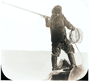 Image: Man with poised harpoon, float, coil